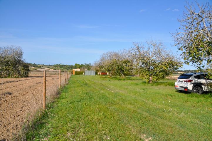 Terreno Urbanizable En venta en Calle Sector 3, 510, 07450, Santa Margalida, Balears (il, 0, Santa Margalida, Santa Margalida photo 0