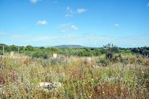 Terreno Urbanizable En venta en Poligono Poligon 25, Manacor Centro, Manacor photo 0