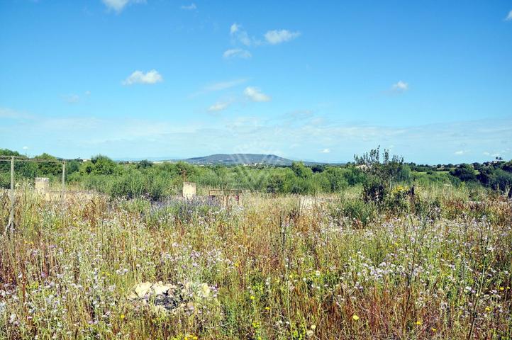 Terreno Urbanizable En venta en Poligono Poligon 25, Manacor Centro, Manacor photo 0