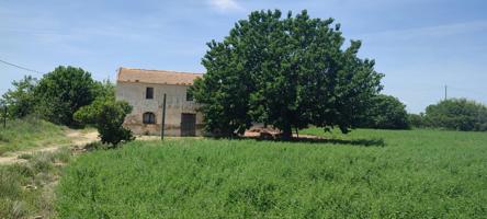 FINCA RÚSTICA DE REGADIO CON VIVIENDA EN GUARDAMAR photo 0