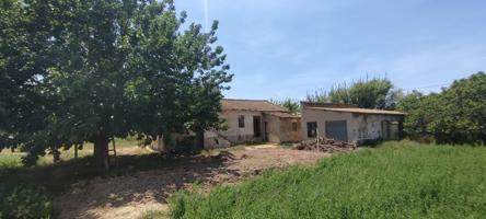 FINCA RÚSTICA DE REGADIO CON VIVIENDA EN GUARDAMAR photo 0