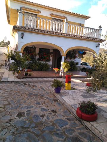 FINCA DE OLIVAR CON VIVIENDA LEGAL JUNTO AL RIO GUADALBARBO photo 0