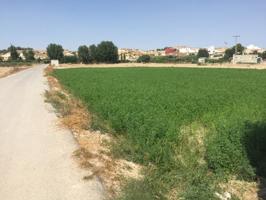 +Terreno no urbano en Molina de Segura zona Ribera de molina, 1118 m. superficie parcela++. photo 0
