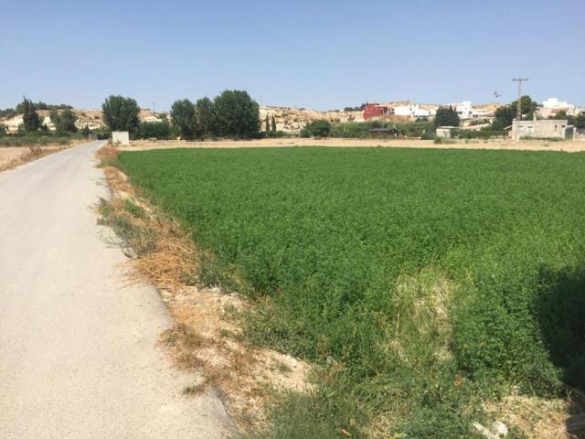 +Terreno no urbano en Molina de Segura zona Ribera de molina, 1118 m. superficie parcela++. photo 0