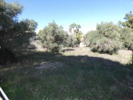 ++Terreno urbano en Molina de Segura zona LOS Conejos, ++1000 m photo 0