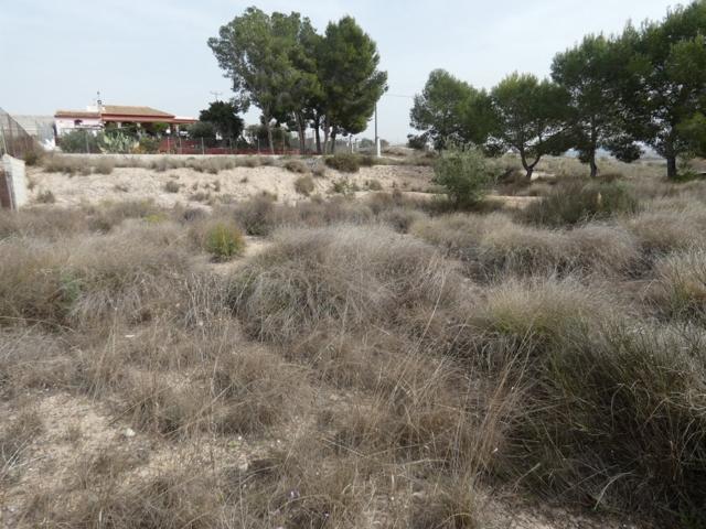 ++Terreno urbanizable en Molina de Segura zona El Pino++, 1250 m photo 0