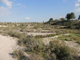 ++Terreno no urbano en carretera de molina de segura a fortuna, primera linea de carretera++ photo 0