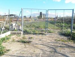 ++TERRENO AGRARIO, VALLADO, CON OLIVOS Y MELOCOTONEROS A 5 MINUTOS DE MOLINA DE SEGURA+ photo 0