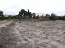 ++Terreno no urbano en Alguazas zona EL PARAJE DE ALQUAZAS,++ 1118 m photo 0
