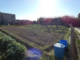 ++Terreno rustico en Molina de Segura zona Huerta,++ 1118 m photo 0