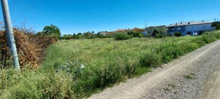 ++Terreno rustico en Alguazas zona Huerta++, 1454 m photo 0