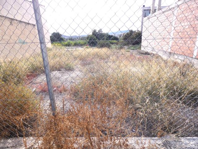 ++Terreno urbano en Archena ++16 m. de superficie construida, 315 m. superficie parcela photo 0