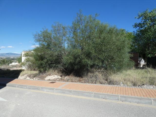 ++Terreno urbano en Molina de Segura zona La Ribera de Molina++ 624 m. superficie parcela photo 0