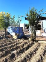 ++Dos terrenos con casa de aperos de 20 m² en Alguazas++ photo 0