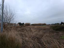 ++Terreno rural en Molina de Segura zona Santa Rita++ 2.200 m. superficie parcela, photo 0