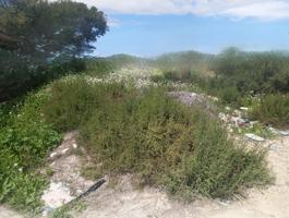++Terreno urbano en Molina de Segura zona Santa Rita++ 291 m. de superficie. photo 0