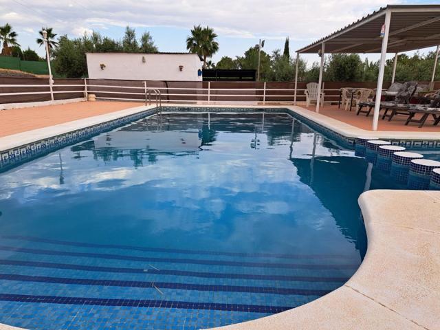 ++oportunidad chalet en el pino++ photo 0