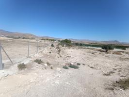 Oportunidad de Inversión: Terreno Rural en Fortuna photo 0