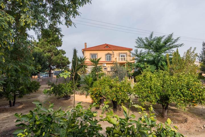 ++Bienvenido a este chalet de 300 m² en plena huerta de Molina de Segura++ photo 0