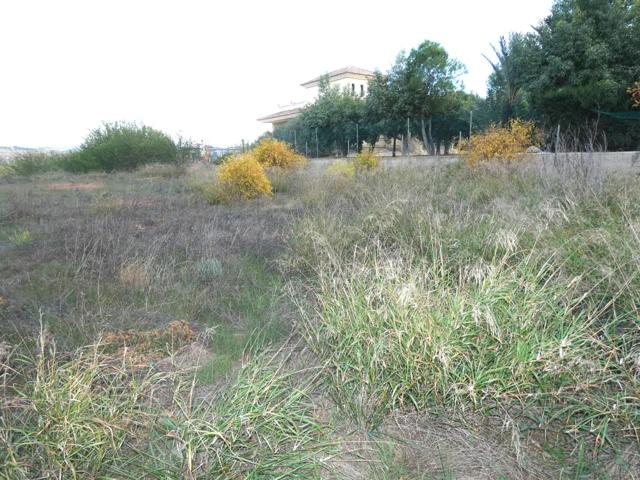 +NO ES SOLO UN TERRENO. ES UN CAMBIO DE VIDA. EN LA LOMA TORRES DE COTILLAS+ photo 0
