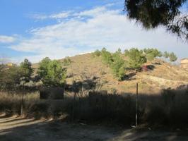 ++GRAN PARCELA DE 1700M2 photo 0