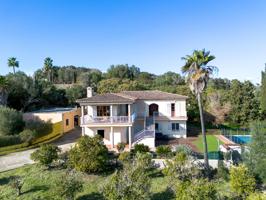 ESPECTACULAR FINCA EN PINA photo 0