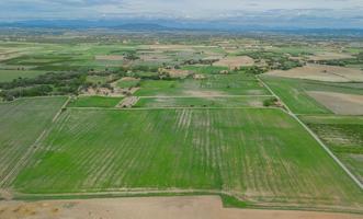 Gran terreno edificable en las afueras de Manacor photo 0