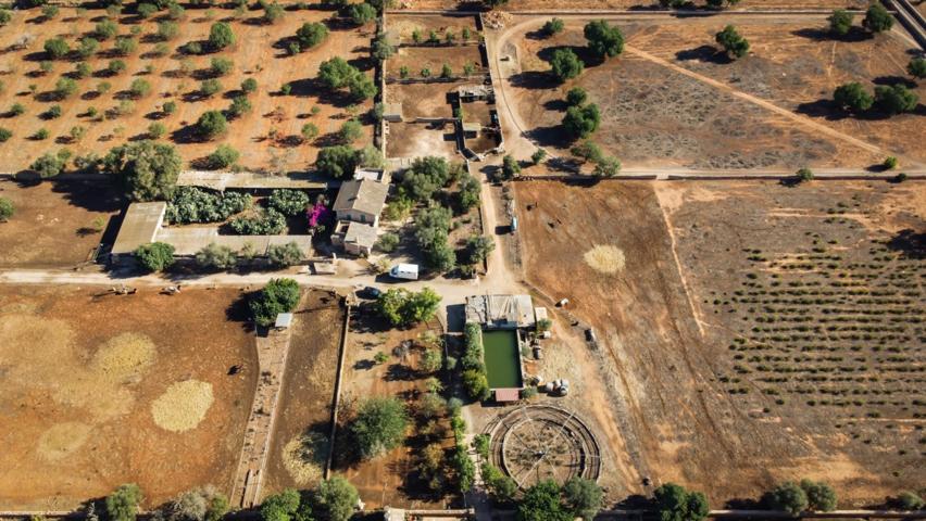 Llucmajor Zona Cugulutx. Finca Rústica con casa principal, caballerizas e hipódromo. photo 0