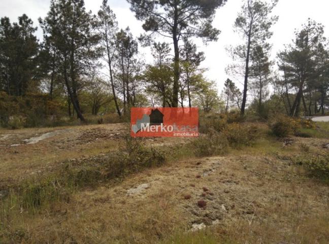 SE VENDE FINCA RUSTICA ZONA DE CASTELO photo 0