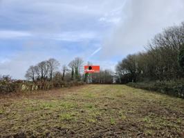 ¡Oportunidad única en Pedrafita, a solo 3 km de Nadela se vende terreno urbanizable ! photo 0