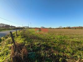 SE VENDE FINCA EDIFICABLE PARA CHALETS CERCA DE NADELA photo 0