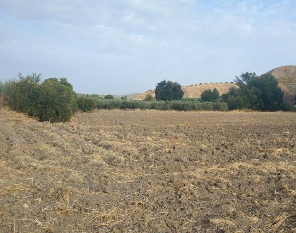 Huerta en venta photo 0