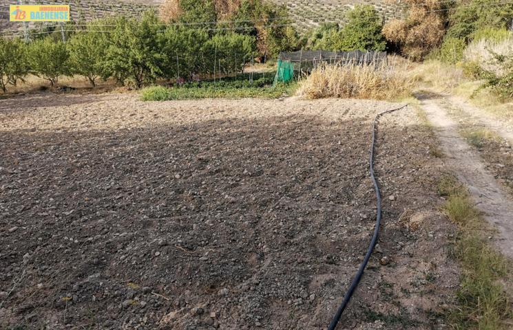 Huerta en venta photo 0