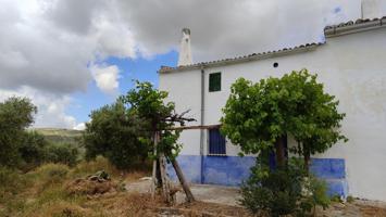 Venta de casa de campo y olivar photo 0