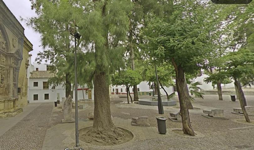 Venta de piso céntrico photo 0