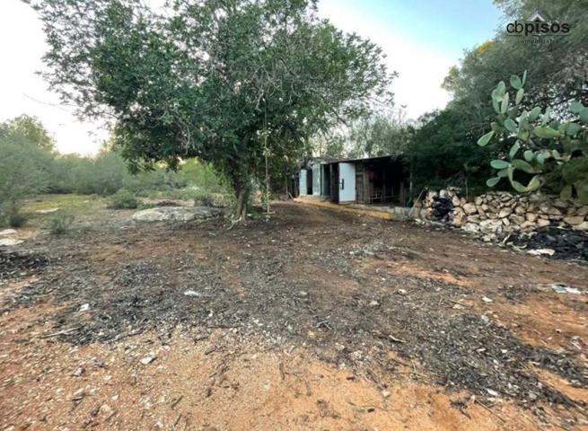 SE VENDE FINCA RÚSTICA EN PORRERAS CON 7500M2 DE TERRENO photo 0