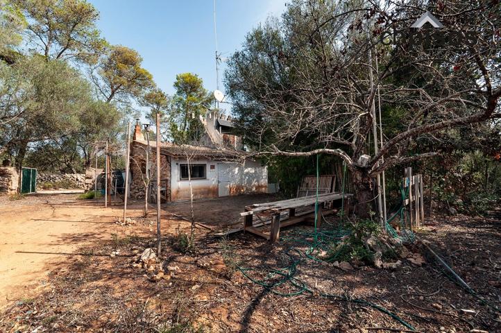 SE VENDE FINCA RÚSTICA EN PORRERAS CON 7500M² DE TERRENO photo 0