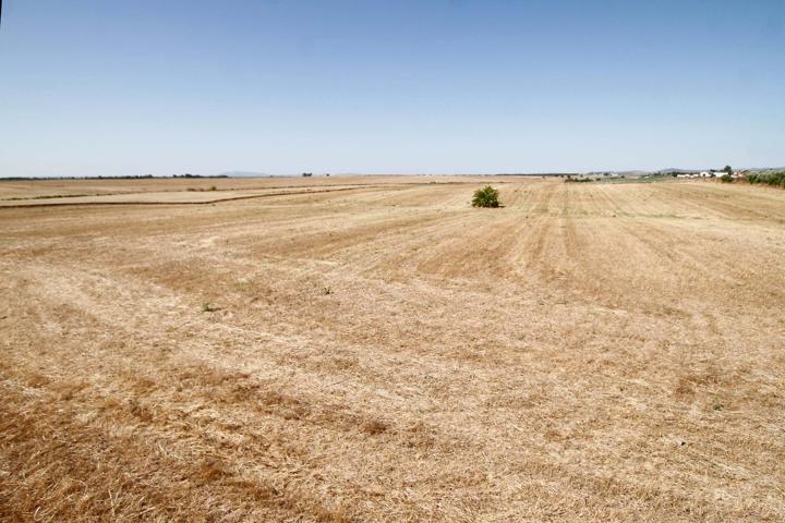 Terreno de 40.000 m junto Urb. Río Caya photo 0