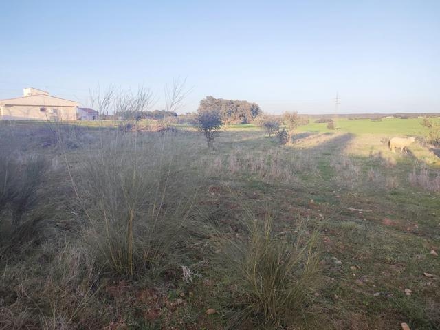 PARCELA VALLADA DE 5.700 m2 EN URBANIZACIÓN DEHESILLA DE CALAMÓN photo 0