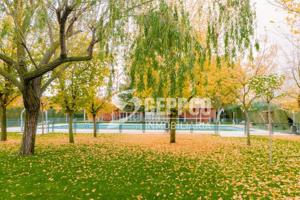 Unifamiliar Pareada En venta en Sureste, Torrejón De Ardoz photo 0