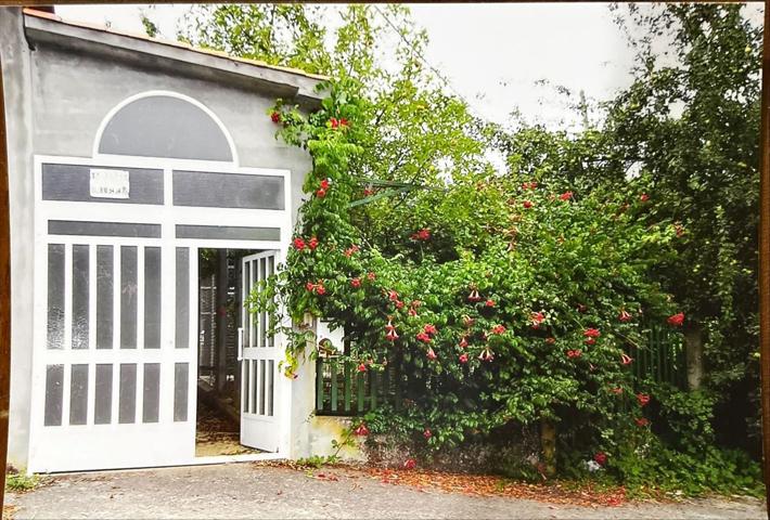 Casa De Campo En venta en Meizo, 3, Castrelo De Miño photo 0