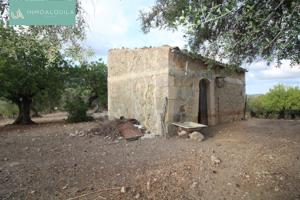 FINCA RÚSTICA EN TERMINO DE MANCOR DE LA VALL DE 42500 M2 CON CASETA DE 50 M2 EN ZONA ANEI photo 0