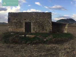 FINCA RÚSTICA EDIFICABLE EN SINEU.18.000 M2 CON CASA 35 M2 A REFORMAR. POZO DE AGUA DE VENA.170.000€ photo 0