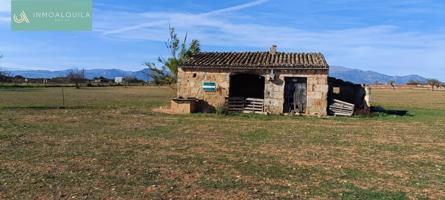 Venta Terreno 50000 m2 Palma de Mallorca photo 0