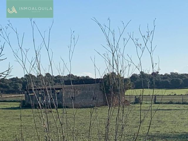 Venta Terreno 50000 m2 Palma de Mallorca photo 0