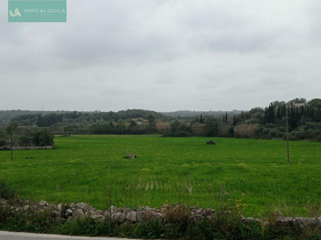 Finca cerca de Costitx photo 0