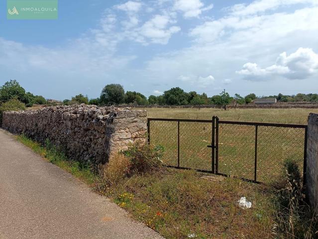 Finca edificable con proyecto photo 0