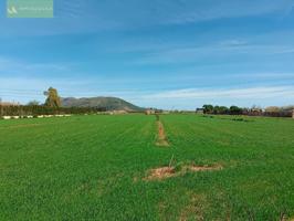 FINCA CON AGUA photo 0