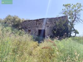 Finca con caseta photo 0
