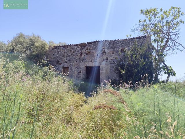 Finca con caseta photo 0